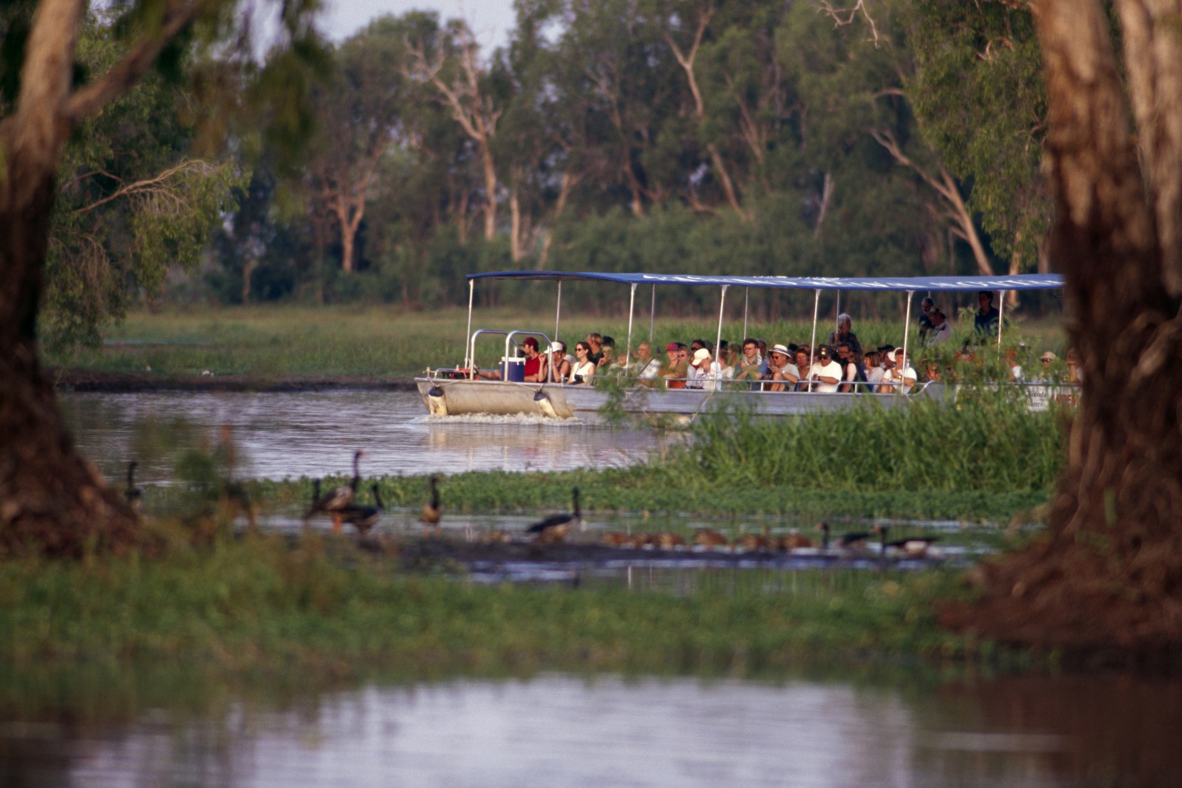 kakadu national park, northern territory (4).webp